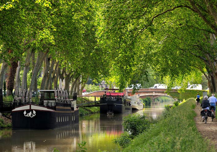 canalmidi