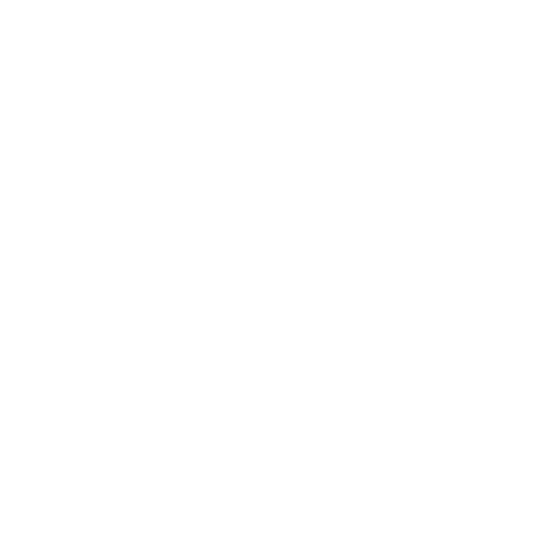 3 3